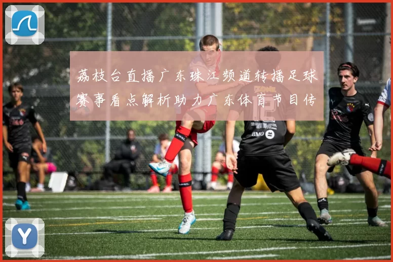 荔枝台直播广东珠江频道转播足球赛事看点解析助力广东体育节目传播
