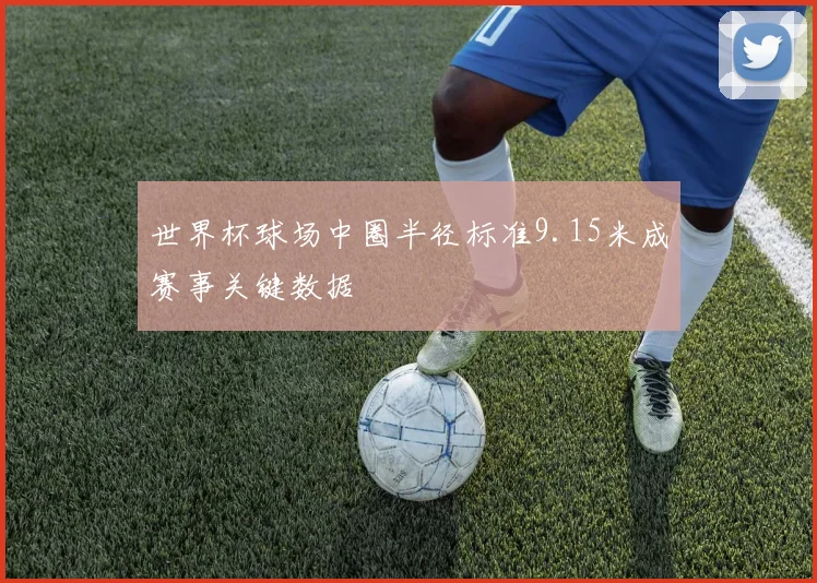世界杯球场中圈半径标准9.15米成赛事关键数据
